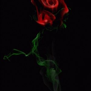 Meet your Posher, Vinish